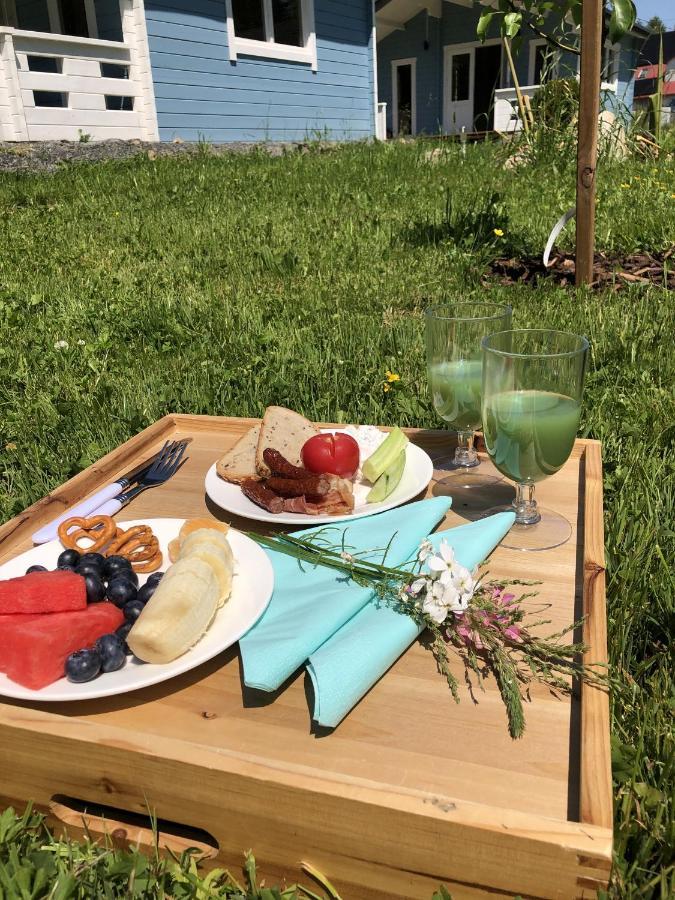 Domek Caloroczny Na Wylacznosc Niebieska Osada Nad Gorskim Potokiem Stary Waliszow Dış mekan fotoğraf