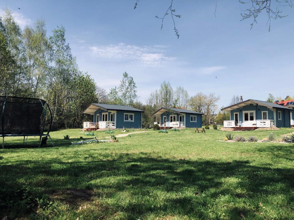Domek Caloroczny Na Wylacznosc Niebieska Osada Nad Gorskim Potokiem Stary Waliszow Dış mekan fotoğraf