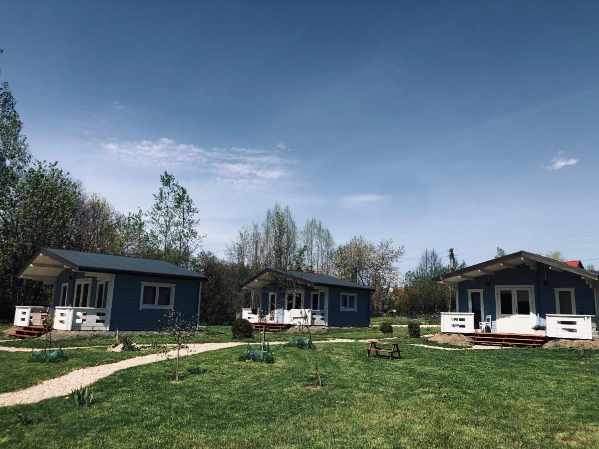 Domek Caloroczny Na Wylacznosc Niebieska Osada Nad Gorskim Potokiem Stary Waliszow Dış mekan fotoğraf