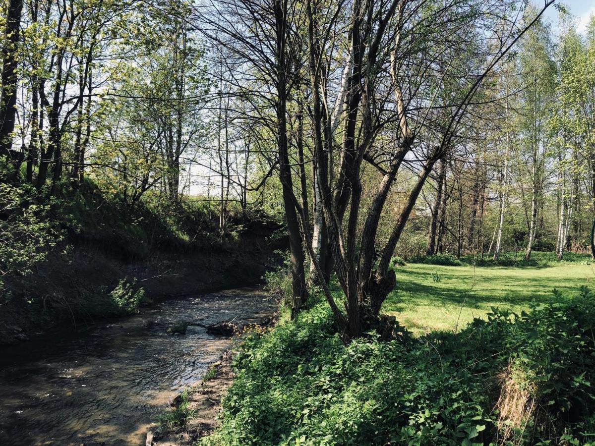 Domek Caloroczny Na Wylacznosc Niebieska Osada Nad Gorskim Potokiem Stary Waliszow Dış mekan fotoğraf