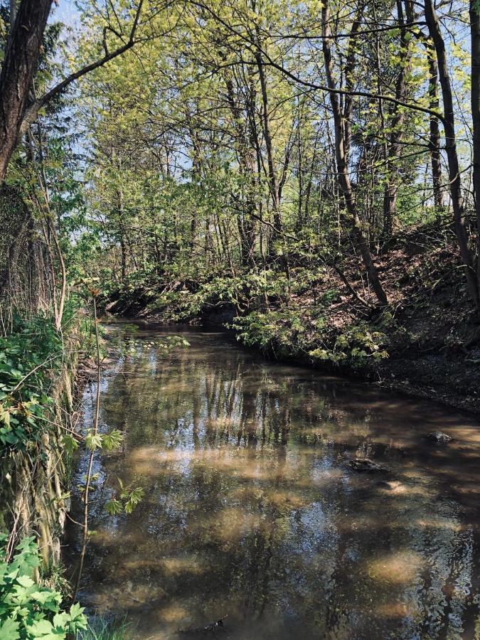 Domek Caloroczny Na Wylacznosc Niebieska Osada Nad Gorskim Potokiem Stary Waliszow Dış mekan fotoğraf
