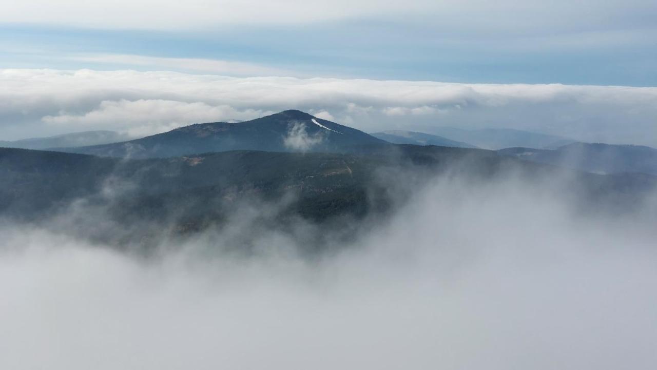 Domek Caloroczny Na Wylacznosc Niebieska Osada Nad Gorskim Potokiem Stary Waliszow Dış mekan fotoğraf