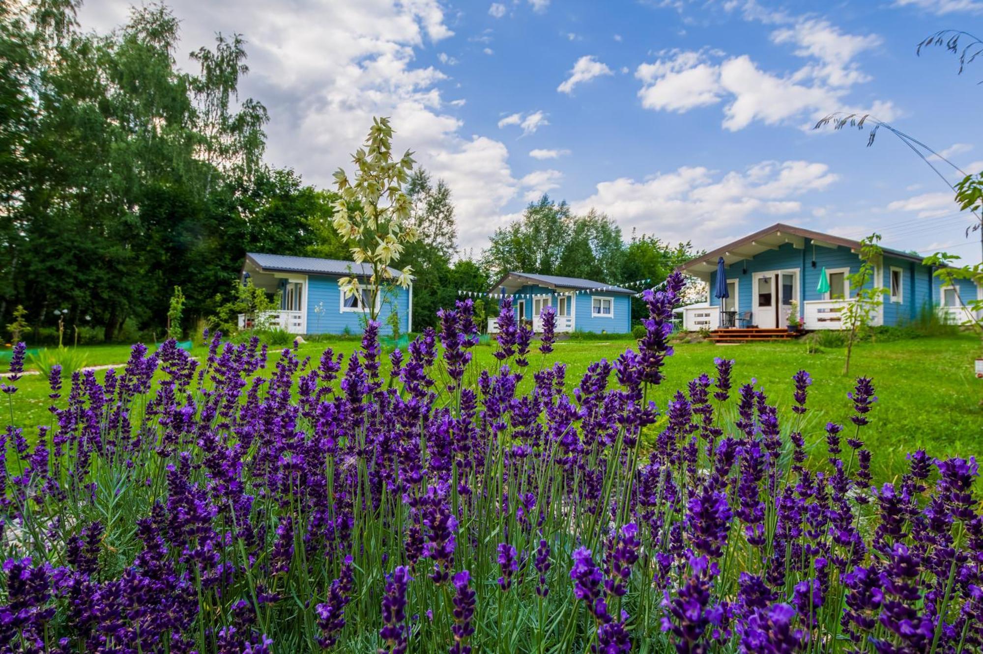 Domek Caloroczny Na Wylacznosc Niebieska Osada Nad Gorskim Potokiem Stary Waliszow Dış mekan fotoğraf