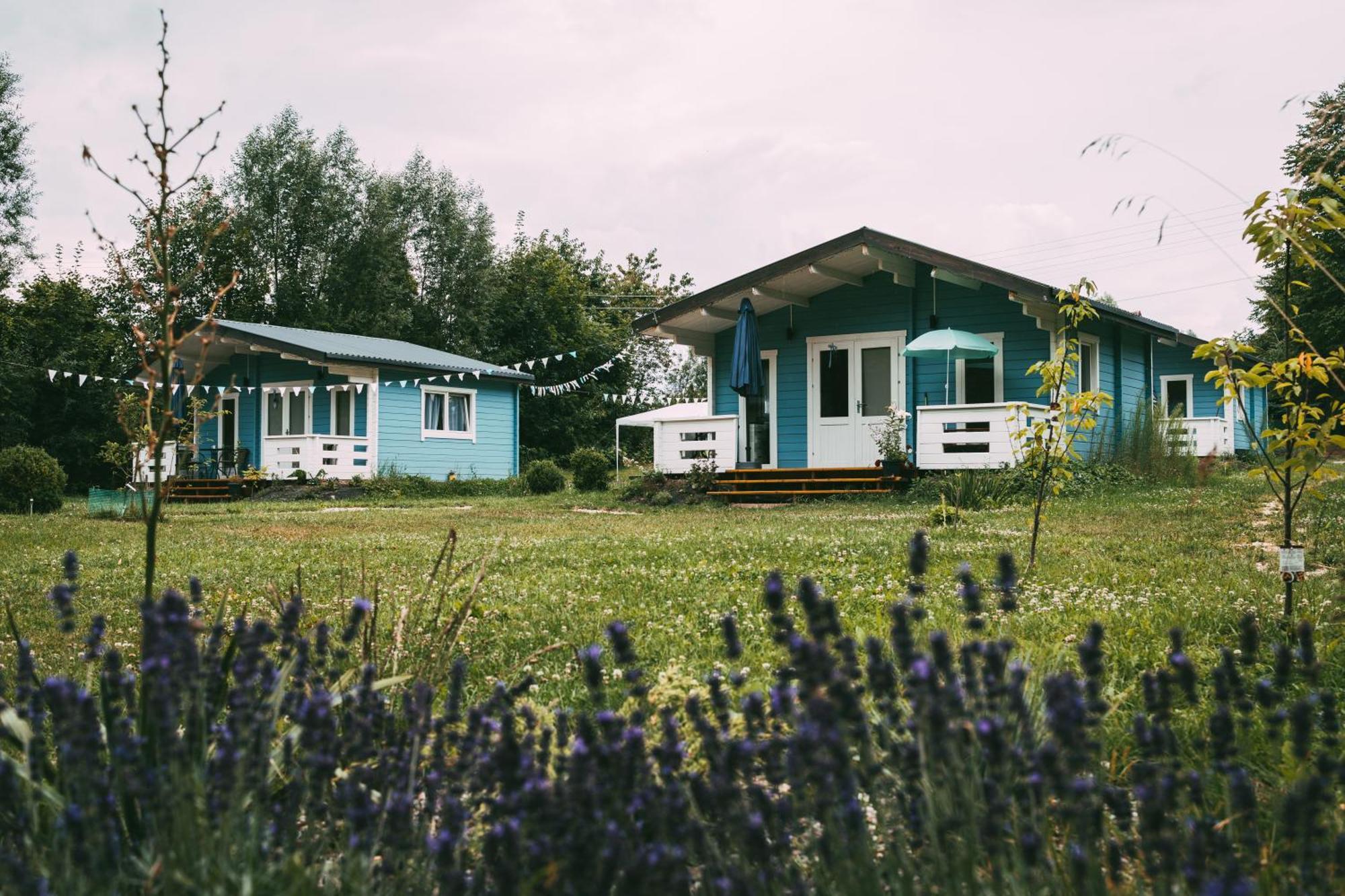 Domek Caloroczny Na Wylacznosc Niebieska Osada Nad Gorskim Potokiem Stary Waliszow Dış mekan fotoğraf